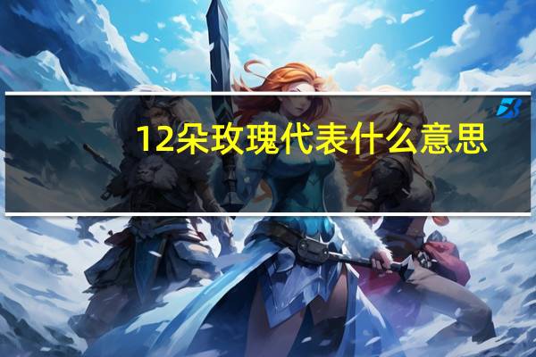12朵玫瑰代表什么意思