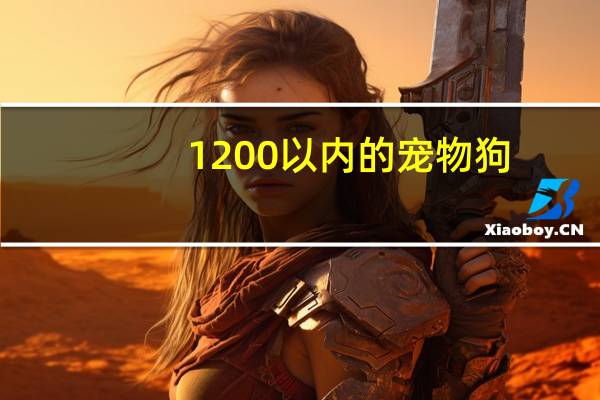 1200以内的宠物狗