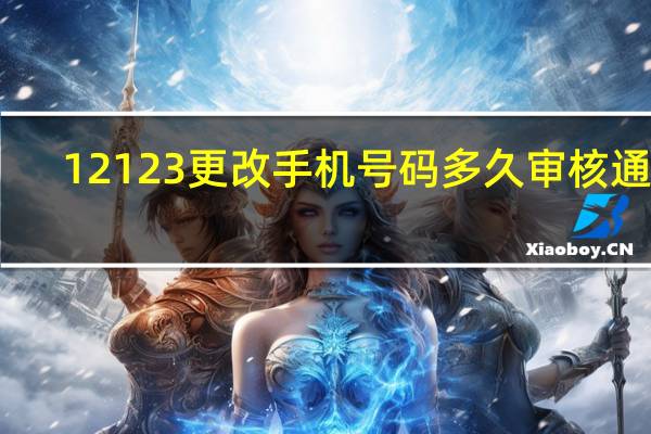 12123更改手机号码多久审核通过