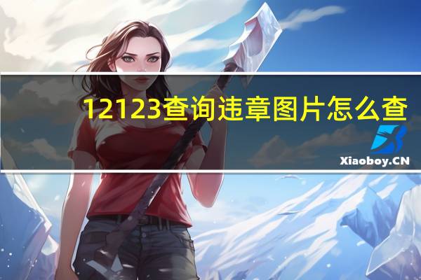 12123查询违章图片怎么查(123123交通违章查询)