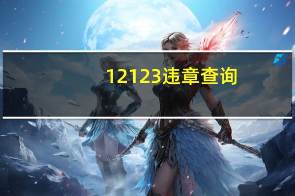 12123违章查询（12寸照片）