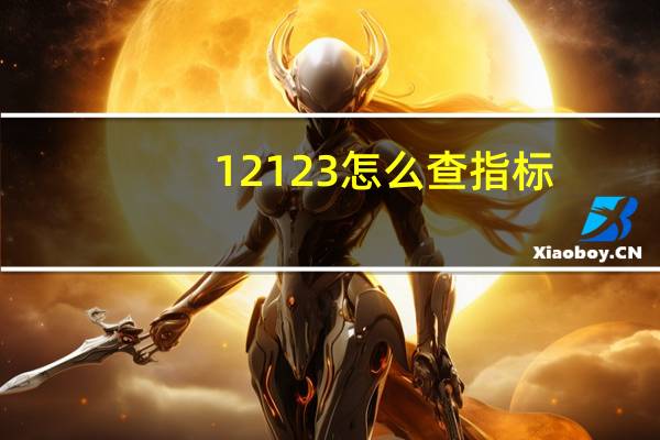 12123怎么查指标