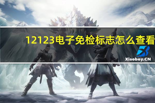 12123电子免检标志怎么查看