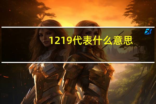 1219代表什么意思