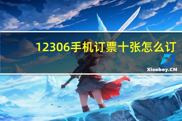 12306手机订票十张怎么订