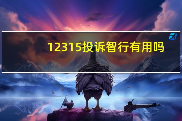 12315投诉智行有用吗
