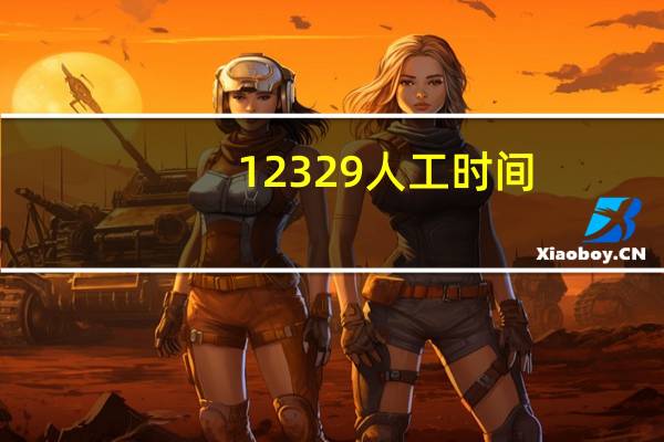 12329人工时间