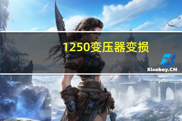 1250变压器变损