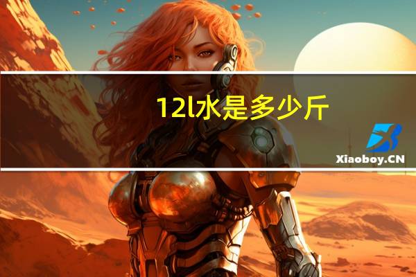 12l水是多少斤