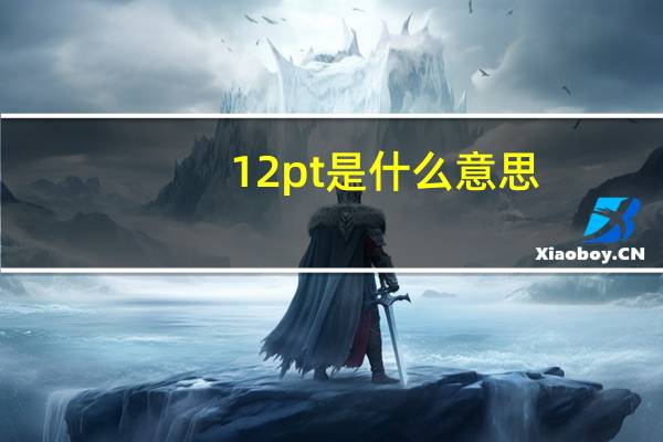 12pt是什么意思(W PT PT分别 什么 是什么意思)