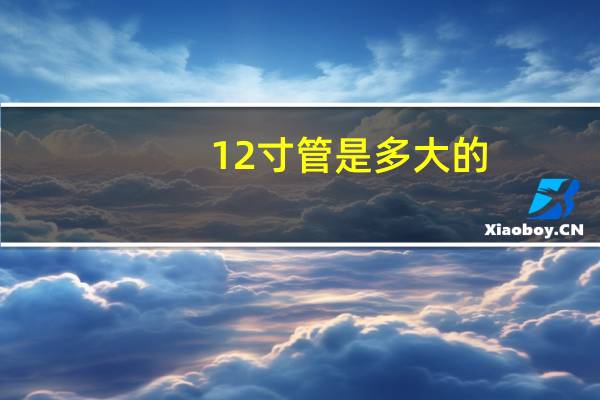 12寸管是多大的