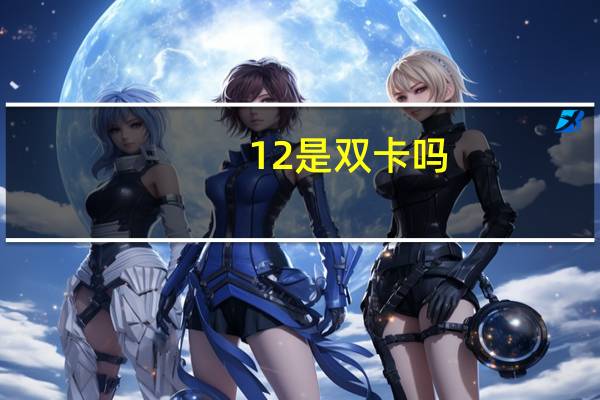 12是双卡吗