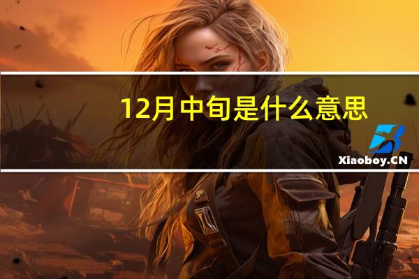 12月中旬是什么意思