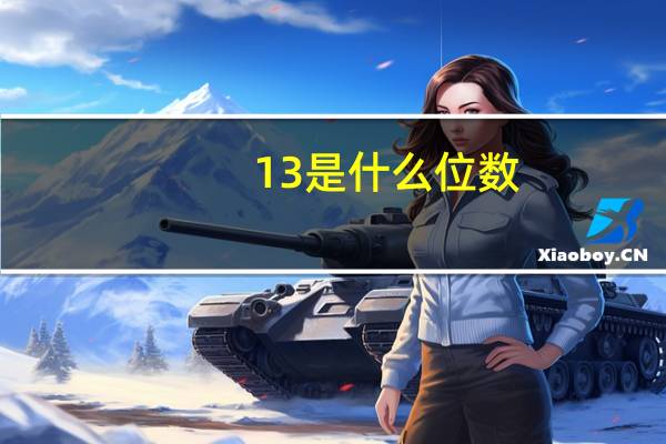 13是什么位数