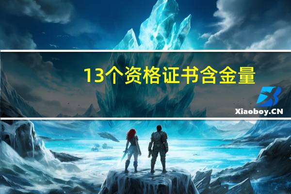 13个资格证书含金量（13个集团军哪个最强）