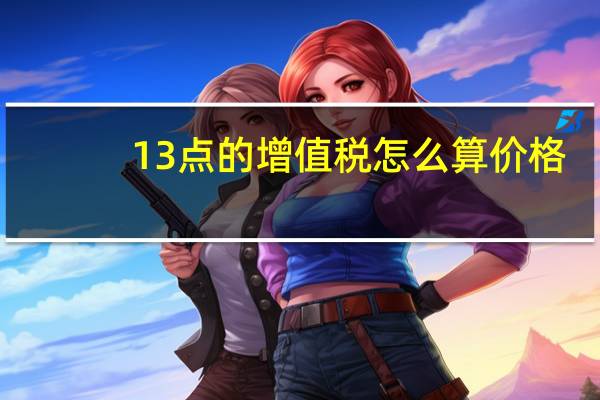 13点的增值税怎么算价格（13点）