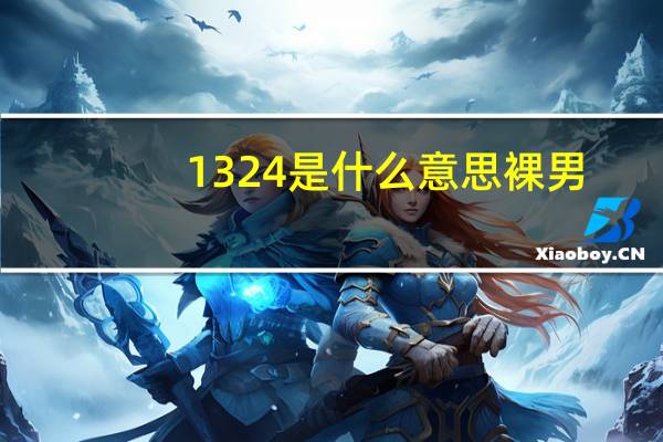 1324是什么意思裸男（1324是什么）