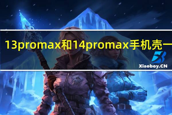 13promax和14promax手机壳一样吗