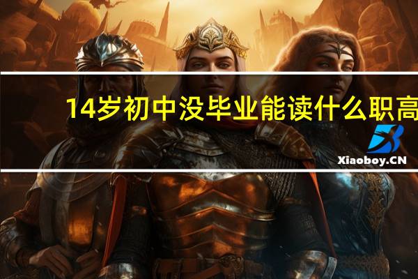14岁初中没毕业能读什么职高