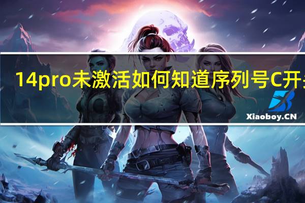14pro未激活如何知道序列号C开头的