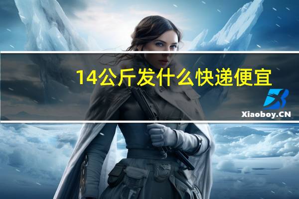 14公斤发什么快递便宜