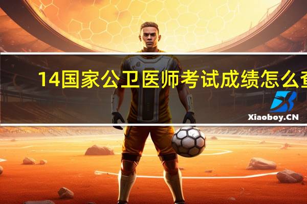 14国家公卫医师考试成绩怎么查