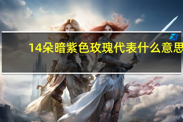 14朵暗紫色玫瑰代表什么意思