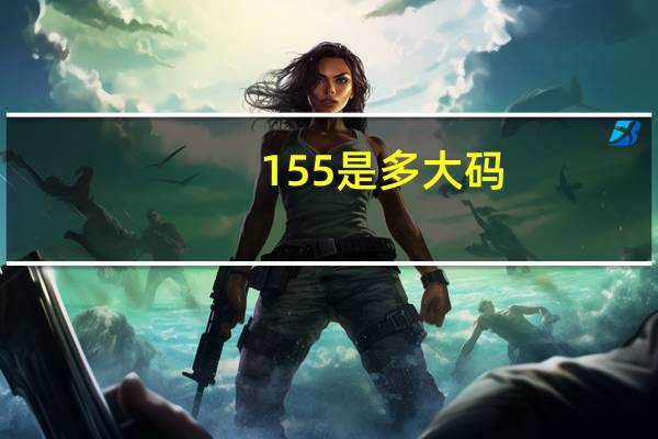 155是多大码