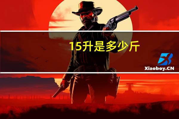 15升是多少斤
