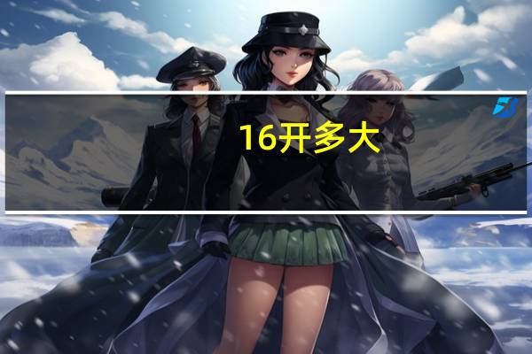 16开多大