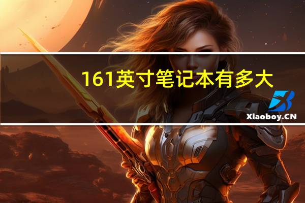 161英寸笔记本有多大