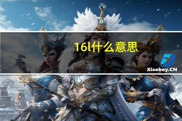16l什么意思