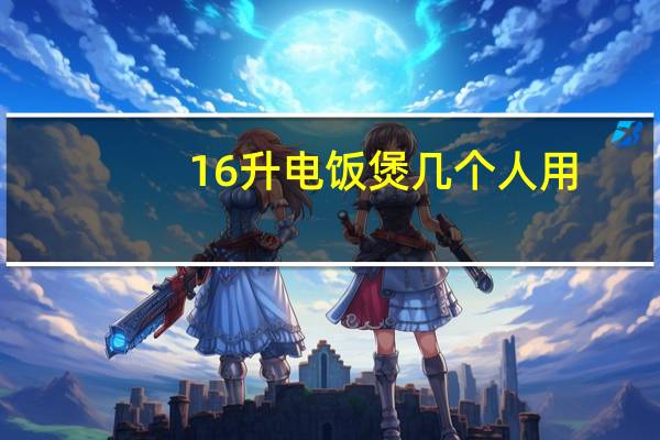 16升电饭煲几个人用