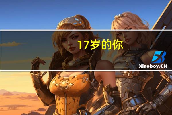 17岁的你，学习技能的黄金时期