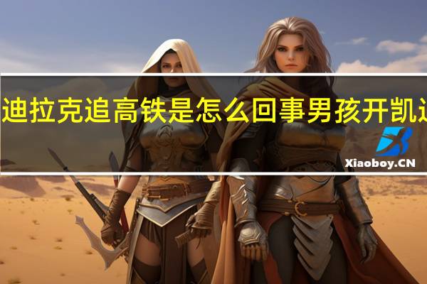 17年凯迪拉克追高铁是怎么回事 男孩开凯迪拉克追高铁