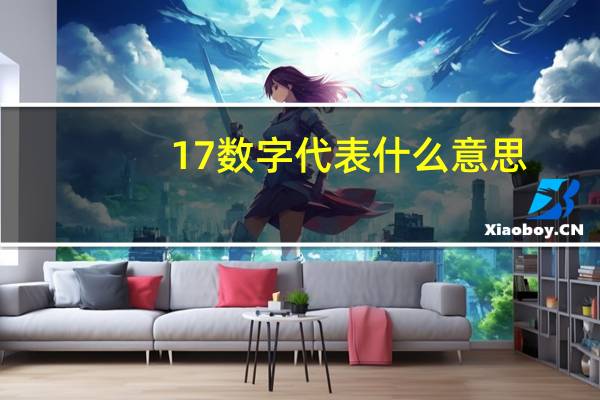 17数字代表什么意思