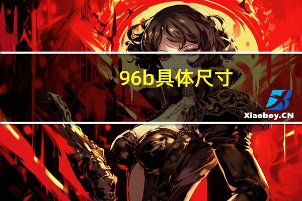 175/96b具体尺寸（175 96a具体尺寸）