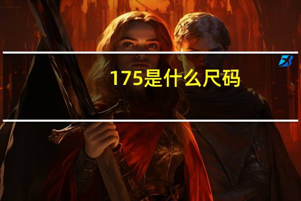 175是什么尺码