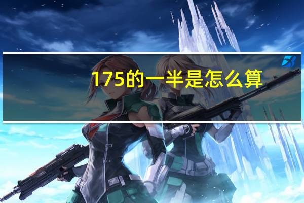 175的一半是怎么算