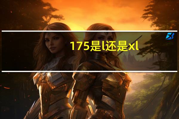 175是l还是xl