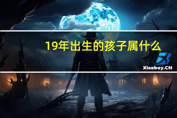 19年出生的孩子属什么