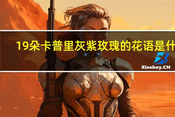 19朵卡普里灰紫玫瑰的花语是什么