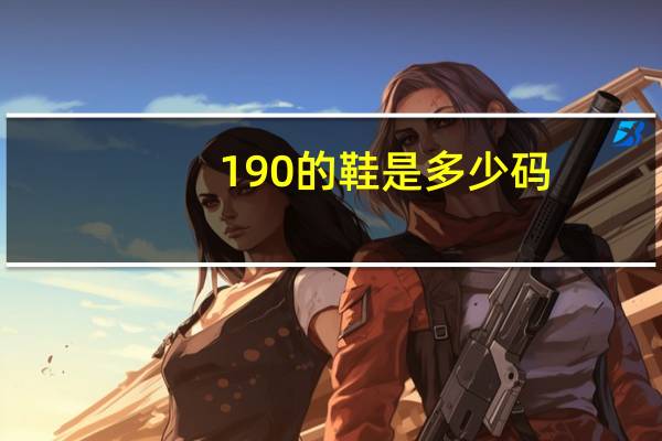 190的鞋是多少码