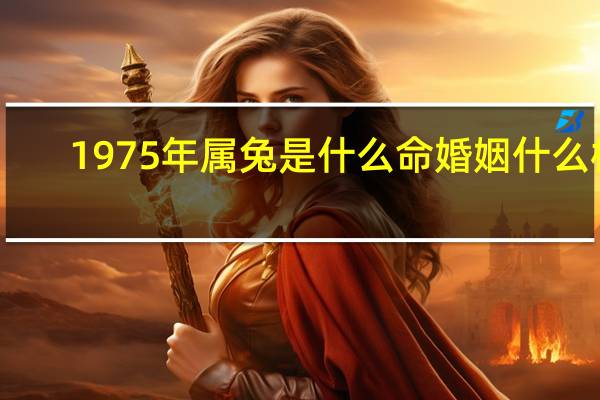 1975年属兔是什么命婚姻什么样
