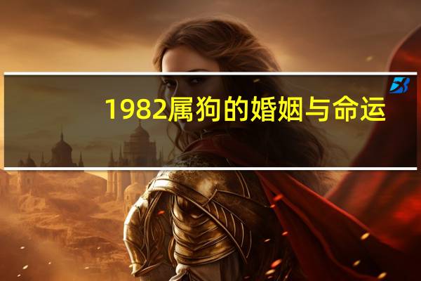 1982属狗的婚姻与命运