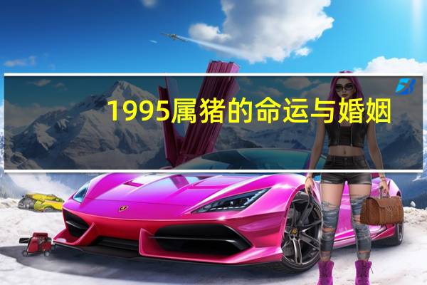 1995属猪的命运与婚姻