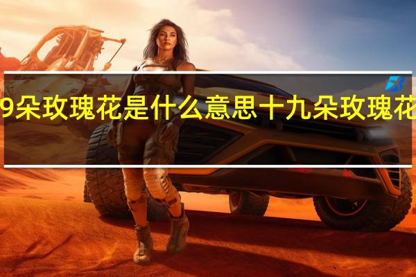 19朵玫瑰花是什么意思十九朵玫瑰花的花语