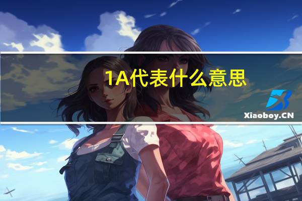 1A代表什么意思