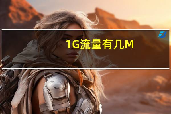 1G流量有几M