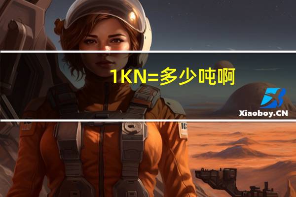 1KN=多少吨啊